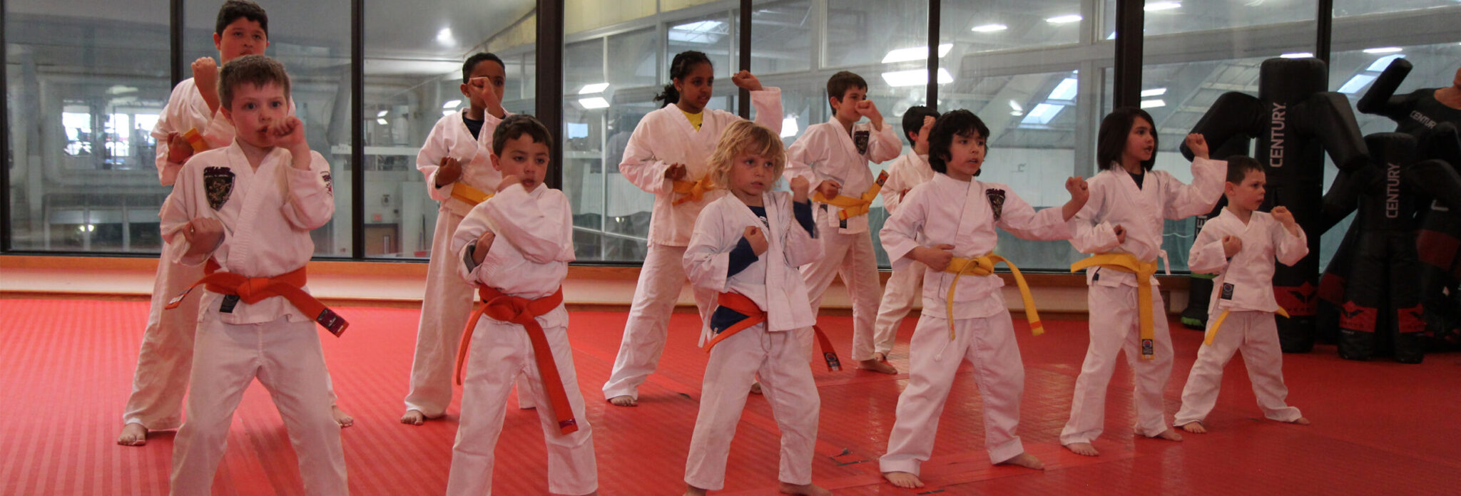Martial Arts Kids at Dedham Health